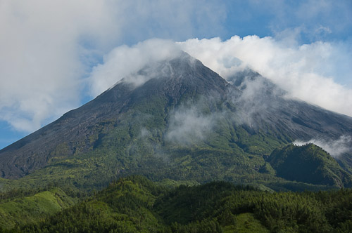 dsc_7233.jpg