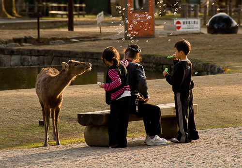 dsc_30507-zoom.jpg