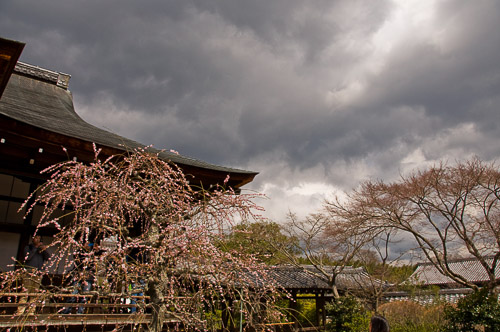 dsc_30664_1.jpg