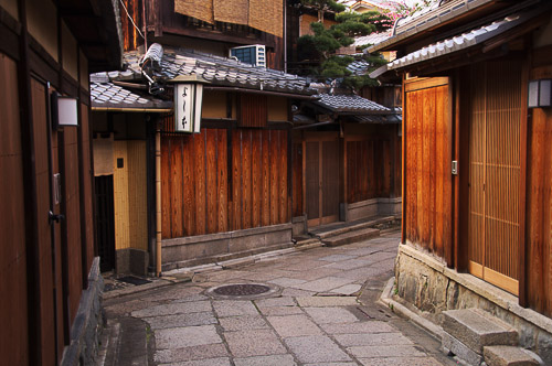 dsc_30744.jpg