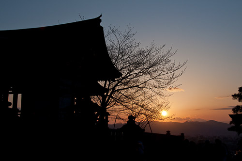 dsc_30875.jpg