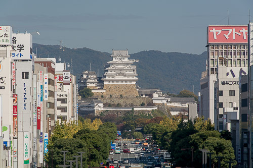 dsc_0631.jpg