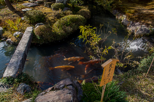 dsc_0651.jpg