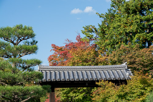 dsc_0674.jpg