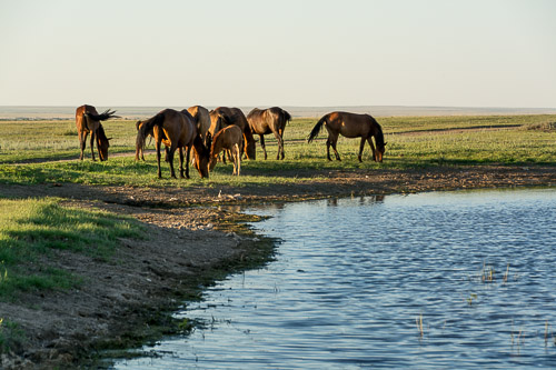 dsc_4689.jpg