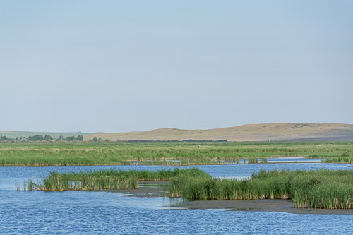 dsc_4798.jpg