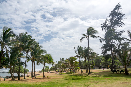 dsc_5480.jpg