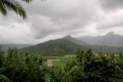 dsc_5506.jpg