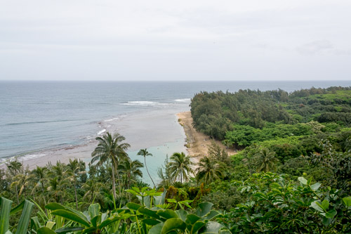 dsc_5604.jpg