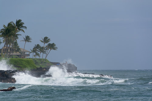 dsc_5838.jpg