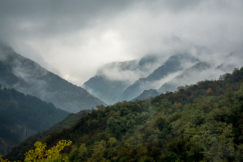 DSC_6982.jpg