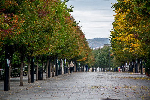 DSC_7071.jpg