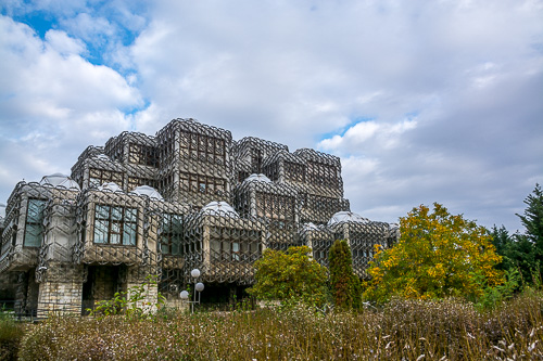 DSC_7090.jpg