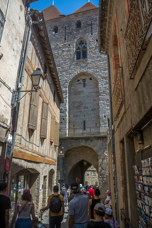 DSC_4353.jpg