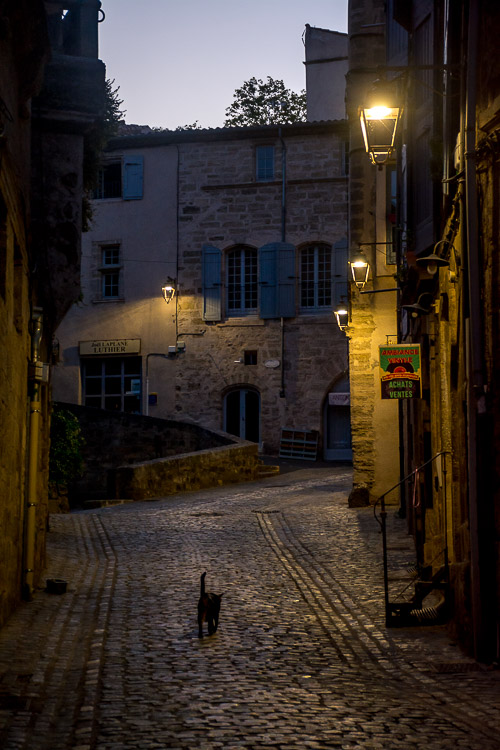 DSC_4478.jpg