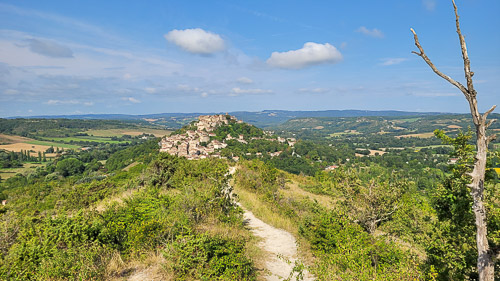 DSC_5215_20240813_104440.jpg