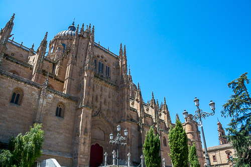 DSC_4326.jpg