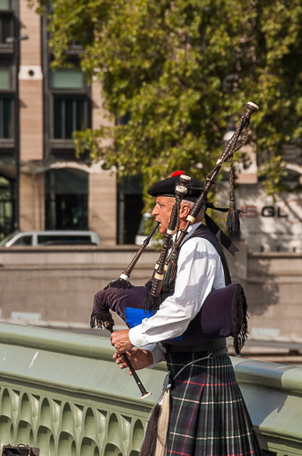 dsc_7508.jpg