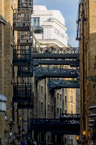 dsc_7601.jpg