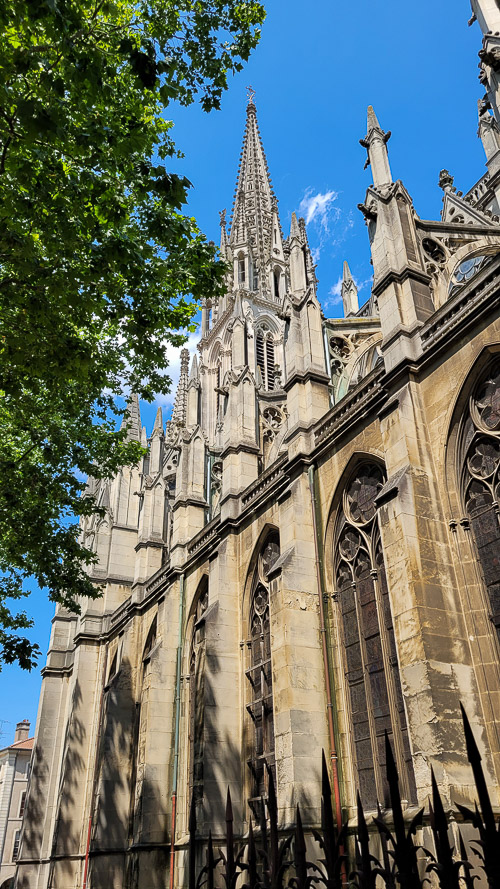DSC_2818_20230711_142432.jpg
