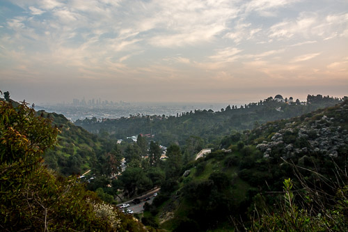 DSC_7179.jpg