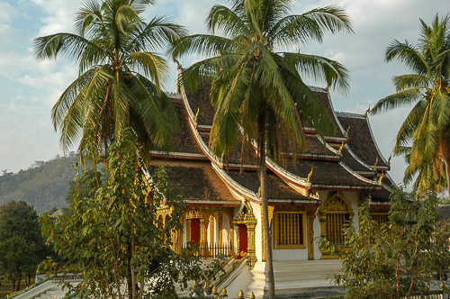adsc_0852.jpg
