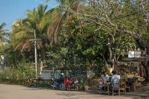 dsc_0109.jpg