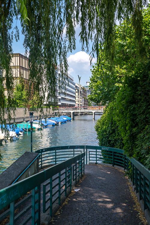 DSC_0934.jpg