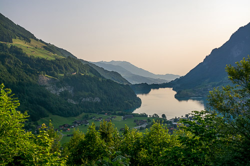 DSC_1264.jpg