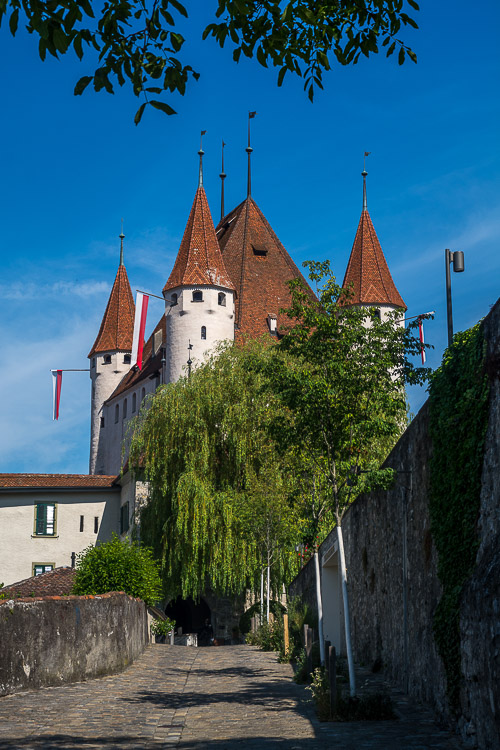 DSC_1391.jpg