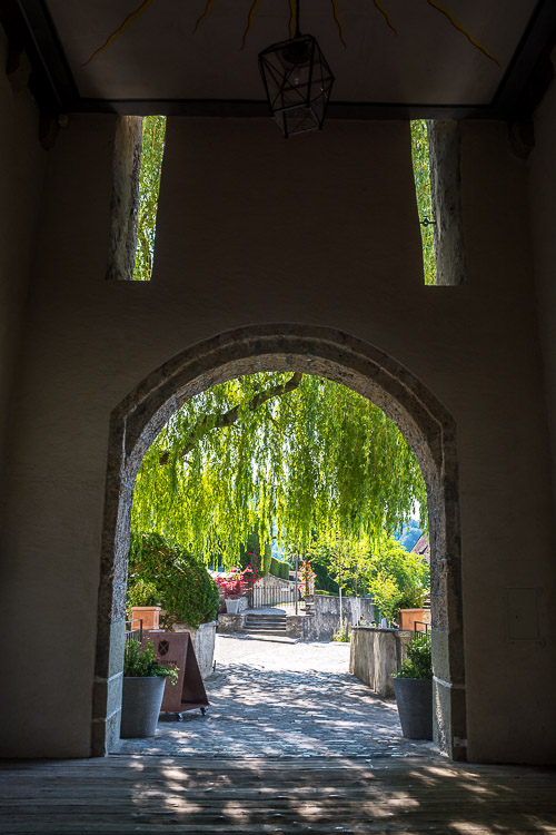DSC_1399.jpg