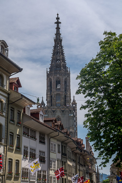 DSC_1442.jpg