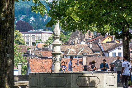 DSC_1600.jpg