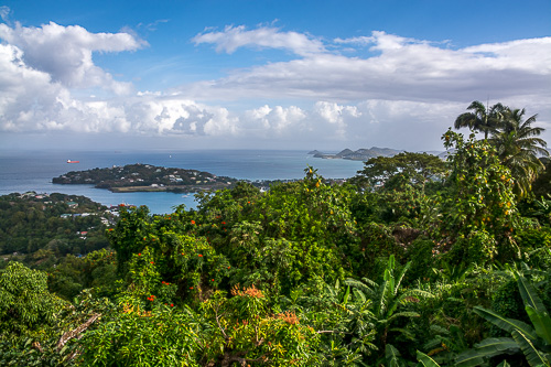 DSC_8955.jpg