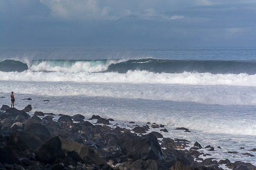 DSC_5446.jpg