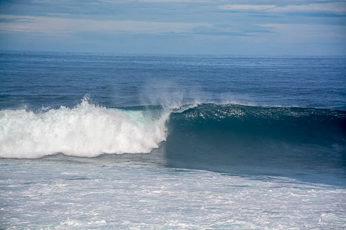 DSC_5448.jpg