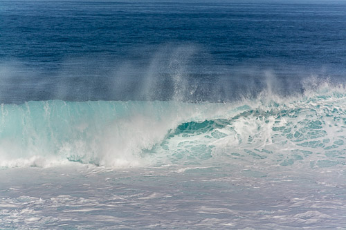 DSC_5454.jpg