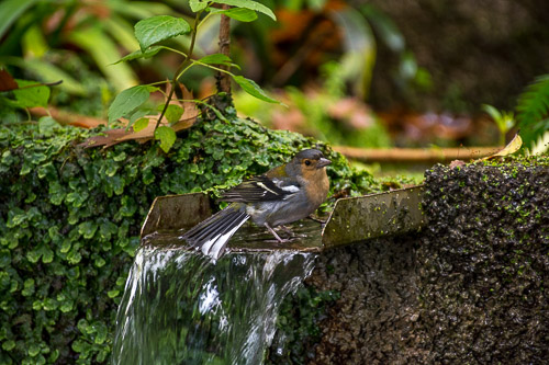 DSC_5730.jpg