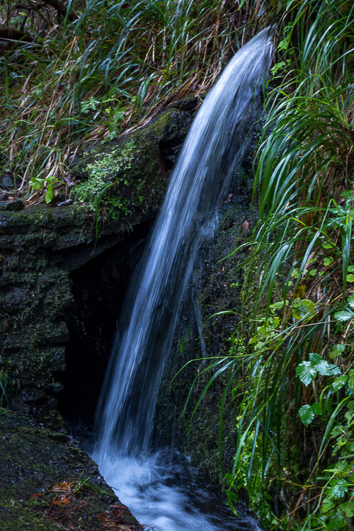 DSC_5911.jpg