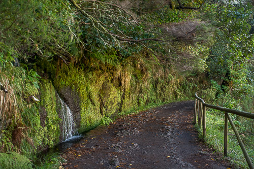 DSC_5996.jpg