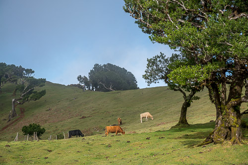 DSC_6050.jpg