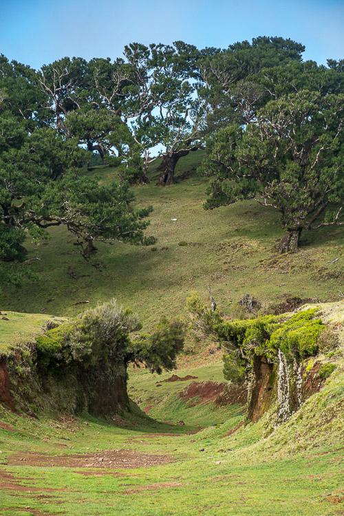 DSC_6055.jpg