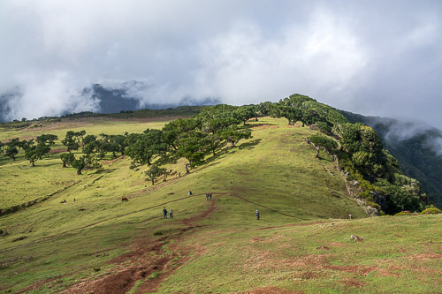 DSC_6104.jpg