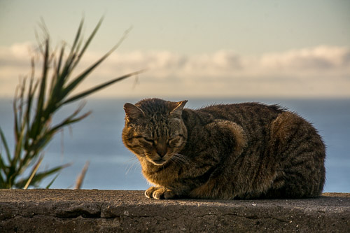 DSC_6195.jpg