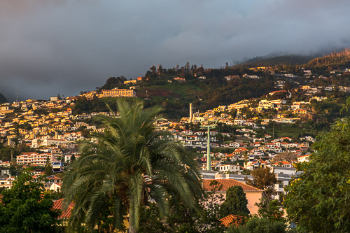 DSC_6480.jpg