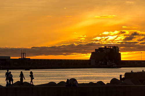 DSC_6487.jpg
