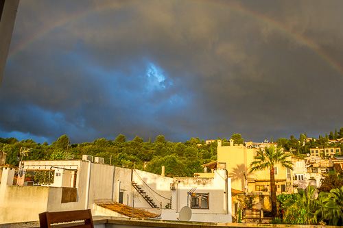 DSC_7442.jpg
