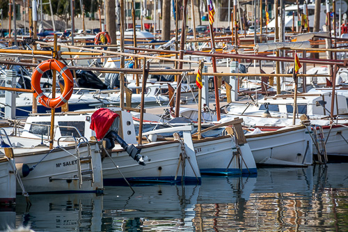 DSC_7574.jpg