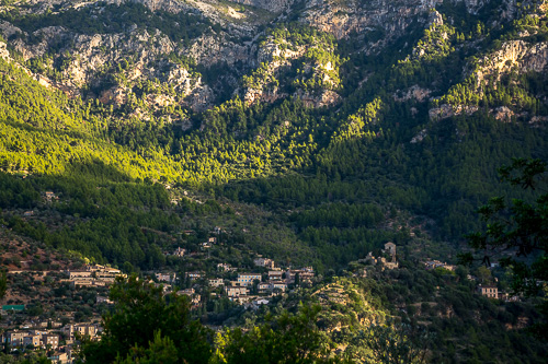 DSC_7699.jpg