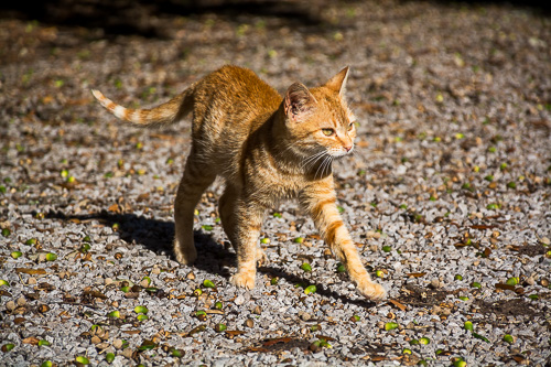 DSC_7753.jpg